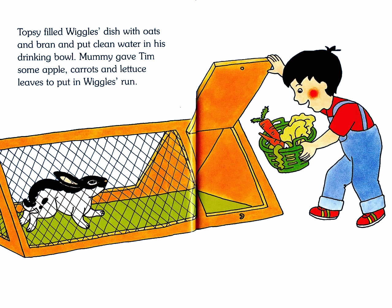 Ladybird - Topsy Tim Books - Look After Their Pets (09),绘本,绘本故事,绘本阅读,故事书,童书,图画书,课外阅读